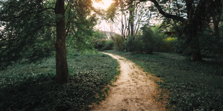 Why Is Having a Direction and Purpose in Life So Important?