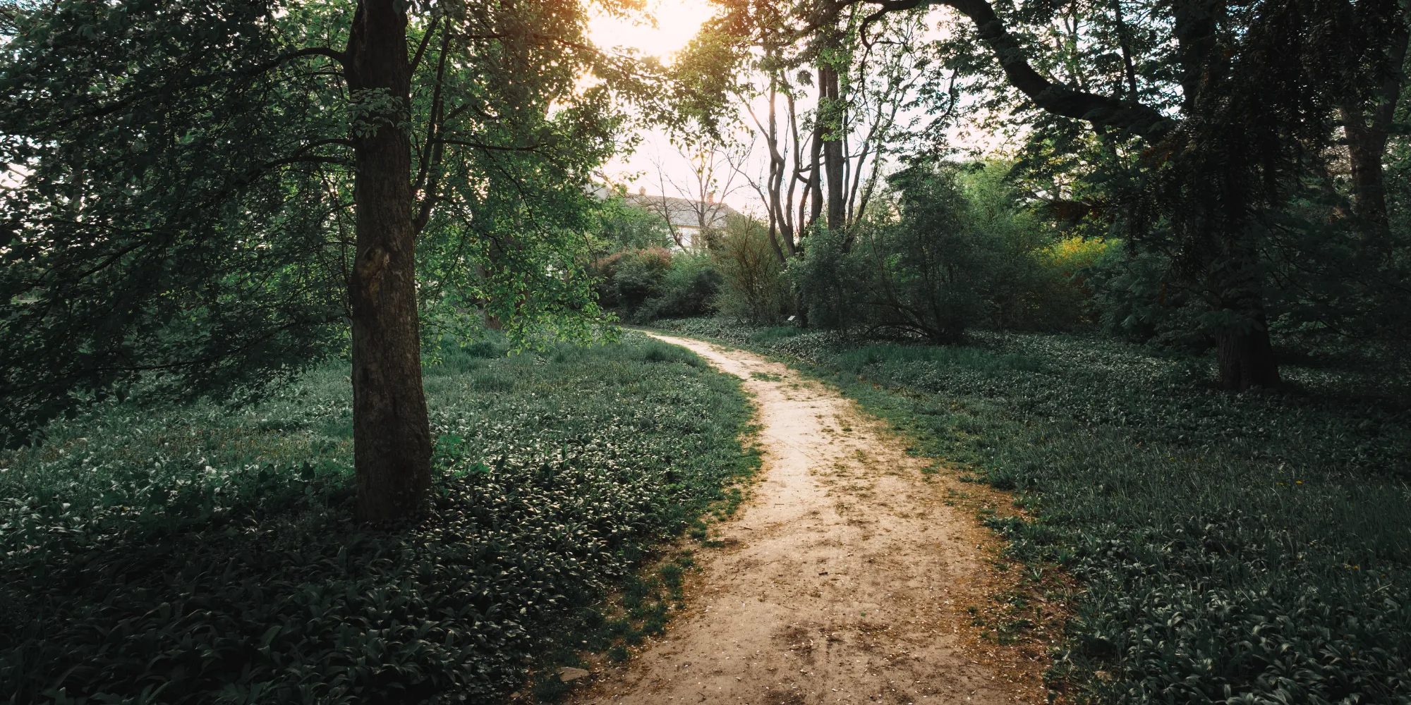 Why Is Having a Direction and Purpose in Life So Important?
