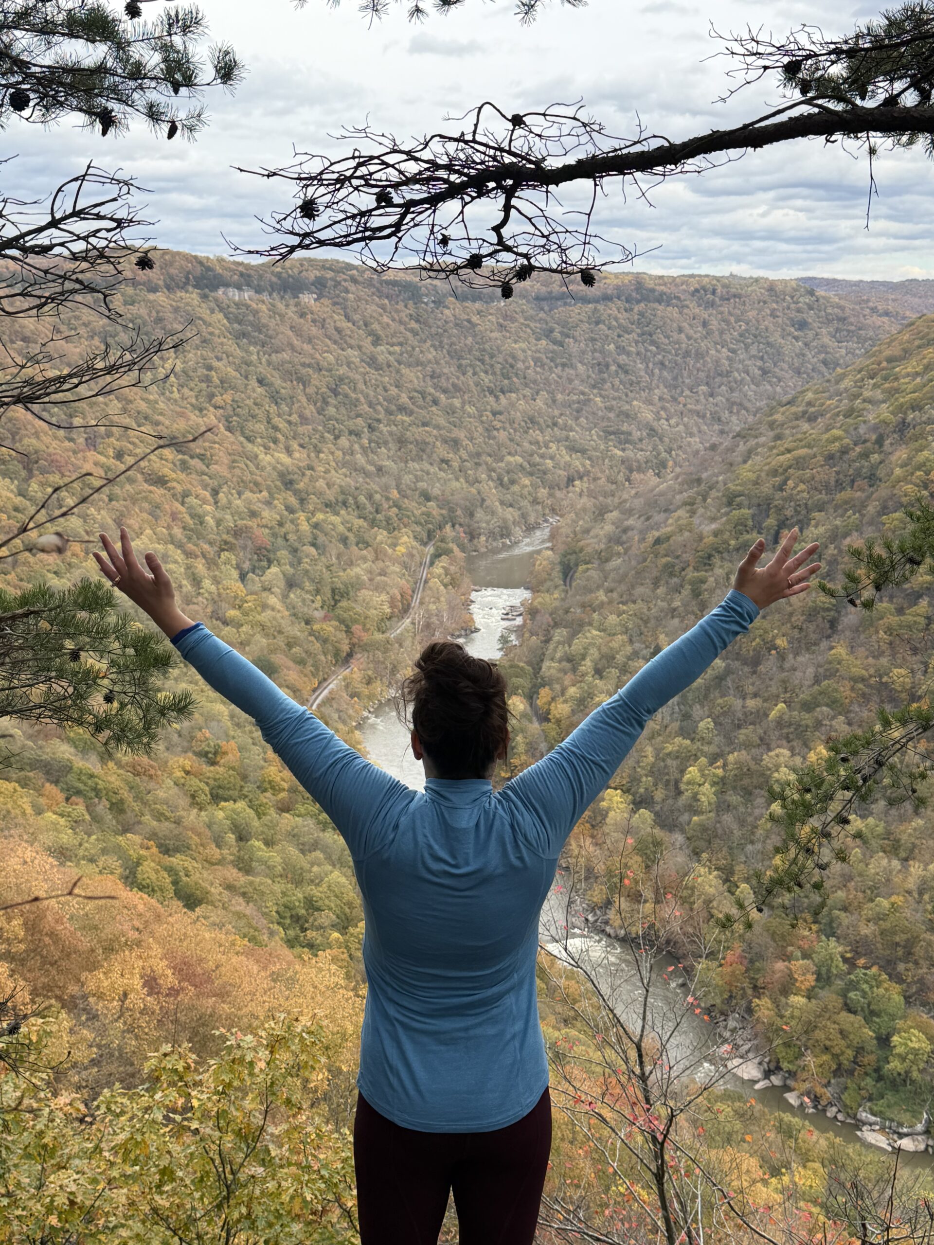 Online hypnosis support for emotional and behavioral relief