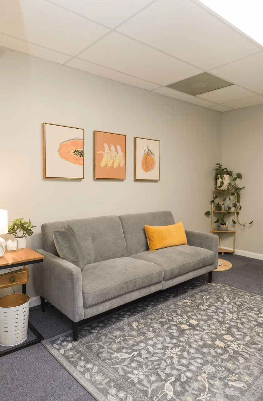 Calm, private hypnosis office in Williamsburg, VA with a gray sofa and plants